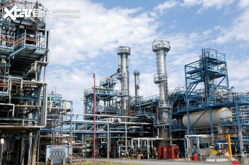 油价新变局 民营加油站或迎“3元时代”，智能限高架能否破解行业乱象？